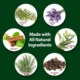 Mitey Clean All-Natural Hypoallergenic Laundry Additive - 16 Fl Oz - Allergy Irritant & Odor Remover, Safe for Sensitive Skin & Fabrics, Eco-Friendly Formula