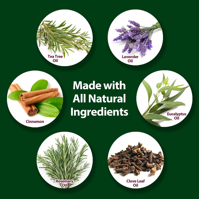 Mitey Clean All-Natural Hypoallergenic Laundry Additive - 16 Fl Oz