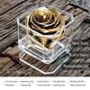 Eternal Petals A 100% Real Rose That Lasts Years, Handmade