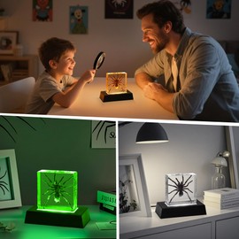 Light Up Taxidermy Spider, Real Spider Specimens Animal Specimen in Resin for Science Classroom Science Education,Colorful Lighting Taxidermy with LED Base, Decor Display Gifts