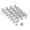 RTRHINOTUNING 100PCS Chrome Silver Wheel Rim Lip Rivets Nuts of