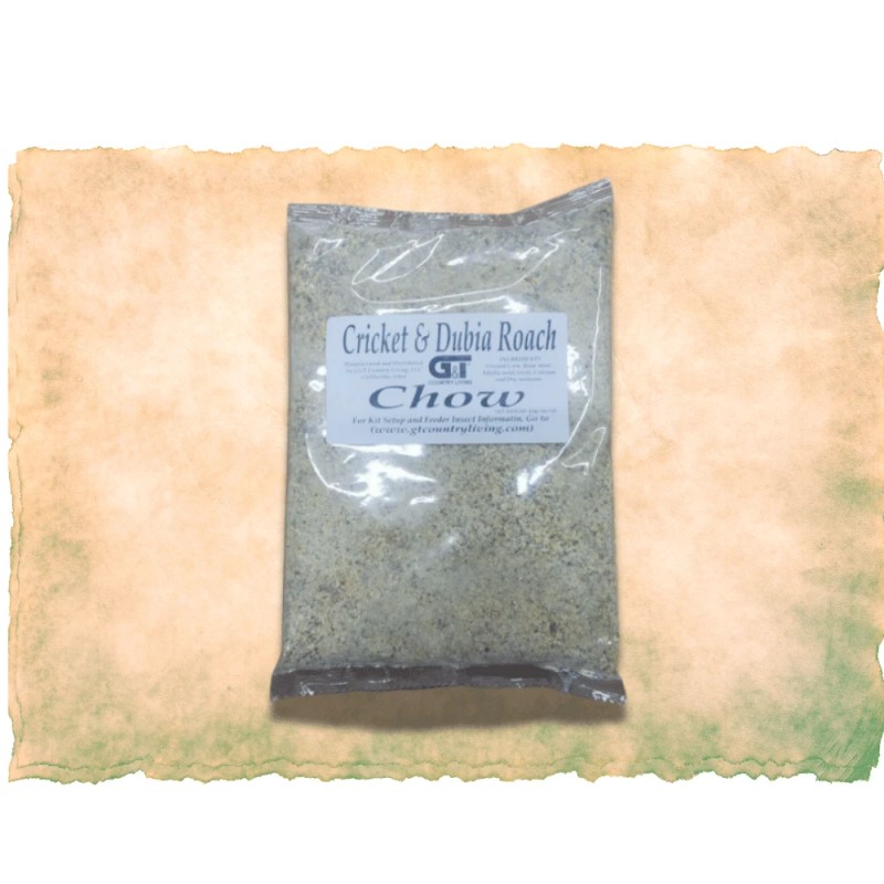 Gt Country Living XL Cricket Colony Kit | Complete Starter