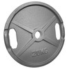 POWER EXTREME Cast Iron Weight Plates with 2 Grip Holes,