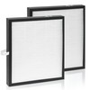 Lhari 2 Pack KJ217 Air Purifier Filter Replacement, Compatible with