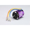 ZERO-S 13.5T (Purple) Drift Brushless Motor