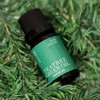 네페라 티트리 스팟 케어 그린 에센셜 오일 10ml 2개, 10ml,
