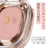 Ameli Step Basic Eye Shadow Korean Cosmetics (#219)