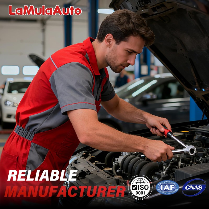 LaMulaAuto HEI Ignition Distributor LaMulaAuto Compatible with Ford 240 300