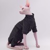 Ropa de gato sin pelo, cálida y suave, otoño e