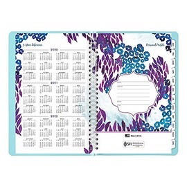 AT-A-GLANCE 2020 Planificador semanal y mensual/libro de citas, 5-1/2 pulgadas x 8-1/2 pulgadas, pequeño, lavados salvajes, azul claro (523-200)