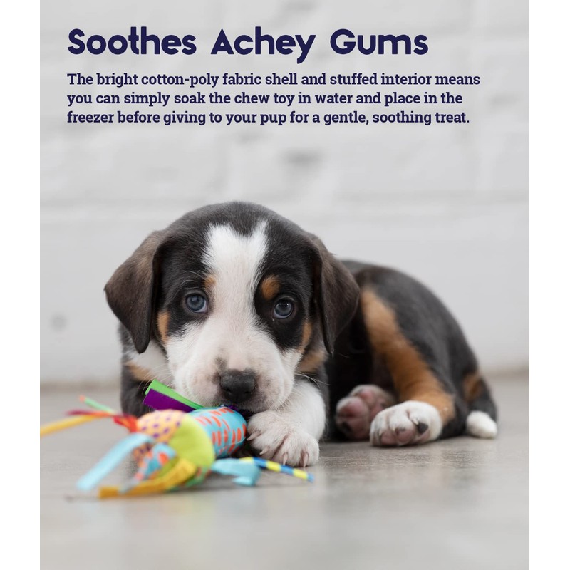 Petstages Cool Teething Stick for Dogs - Soothing Chew Toy