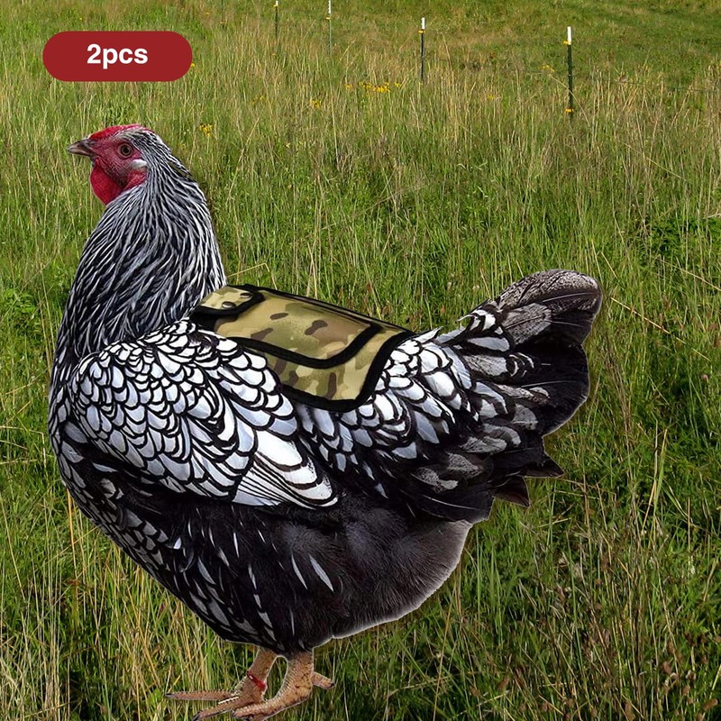 2 Pieces Premium Chicken Saddles with Stretchy Strap, Chicken Saddles