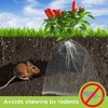 10 Pcs Root Guard Gopher Proof Wire Basket Stainless Steel