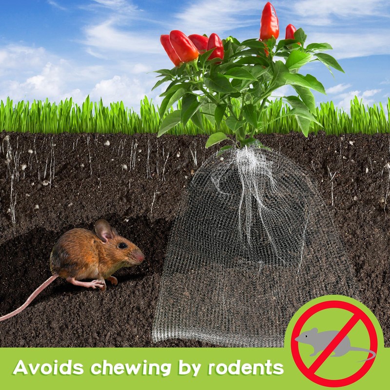10 Pcs Root Guard Gopher Proof Wire Basket Stainless Steel
