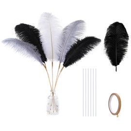 Holmgren Black White Grey Ostrich Feathers - 20pcs Making Kit 22 Inch Ostrich Feathers Bulk for Vase, Floral Arrangement, Wedding Party Centerpieces and Home Decorations