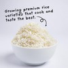 4Sisters - Premium Long Grain Aromatic Jasmine White Rice -