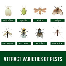 Garsum 21 Traps Sticky Houseplant Traps Gnat Yellow Insect Trap Indoor Fruit Fly Stakes Trap