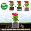 Aulock 1 Gallon Plant Root Protector for Gopher Voles Moles,