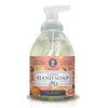 Nature's Oil Foaming Hand Soap, Exotic Grapefruit and Sea Salt,