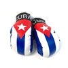 Cuban Cuba flags Cuban Boxing gloves Combo Gift pack Rearview