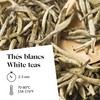 Kusmi Tea - Tropical White (Organic Tea) - Organic White
