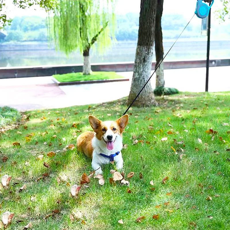Retractable Dog Leash Lightweight 10/16FT Leash with Non-Slip Handle, for