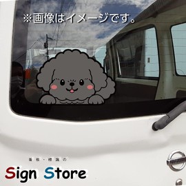 Toy Poodle Cute Dog Hyokkori Sticker for Select Dog Breeds Waterproof Signstore Signstore Product Made in Japan (Toy Pooh Black, Dog Only)