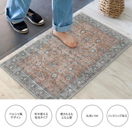 HAOCOO Entrance Mat, Indoor, Washable, Persian Style, 19.7 x 31.5 inches (50 x 80 cm), Suitable for All Seasons, Small, Fluffy, Bath Mat, Stylish, Anti-Slip, Water Absorption, Rug Mat, Memory Foam,
