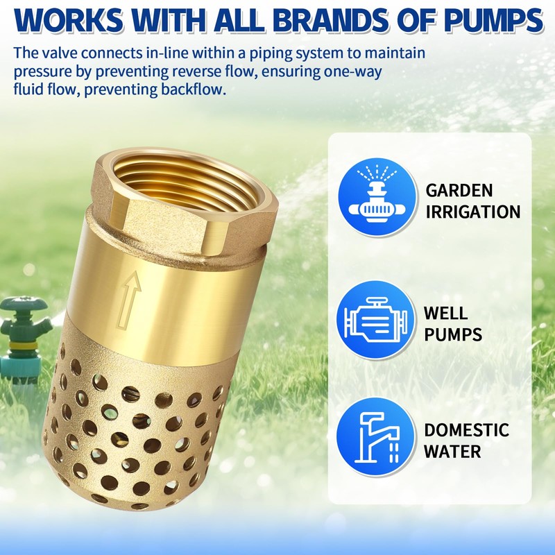 Brass Foot Valve 1 inch NPT Heavy Duty Spring Mesh