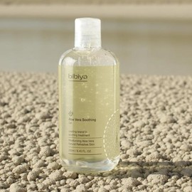 High-Capacity/Aloe Vera/SOOTHING GEL/250ml/1Pc