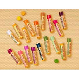 Burt's Bees Paquete de regalo variado de 12 unidades de bálsamo labial, relleno de calcetines, sabores surtidos, sabores elegidos al azar