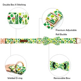 Lionheart glory Dog Bow Collar Green Cactus Print Collars for Medium Dogs,Spring Summer Cute Dog Collar with Bowtie Pet Collars Bows Pet Gift