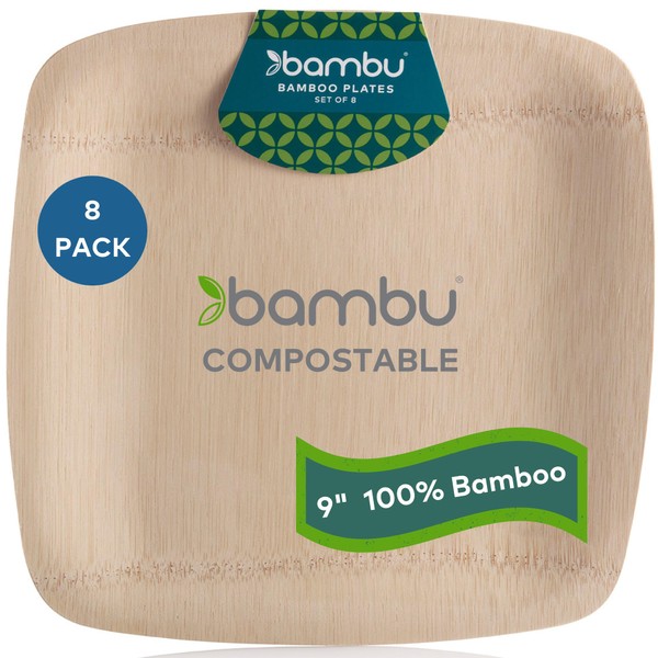 bambu, Veneerware Disposable Bamboo Square Plates, 100% Biodegradable Flat Tableware - 9", Pack of 8