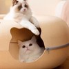 Cat Tunnel Bed with 2 Ventilated Windows Removable Washable Felt
