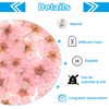 PATIKIL Dried Pressed Flower, 60 Pcs for Resin DIY Crafts
