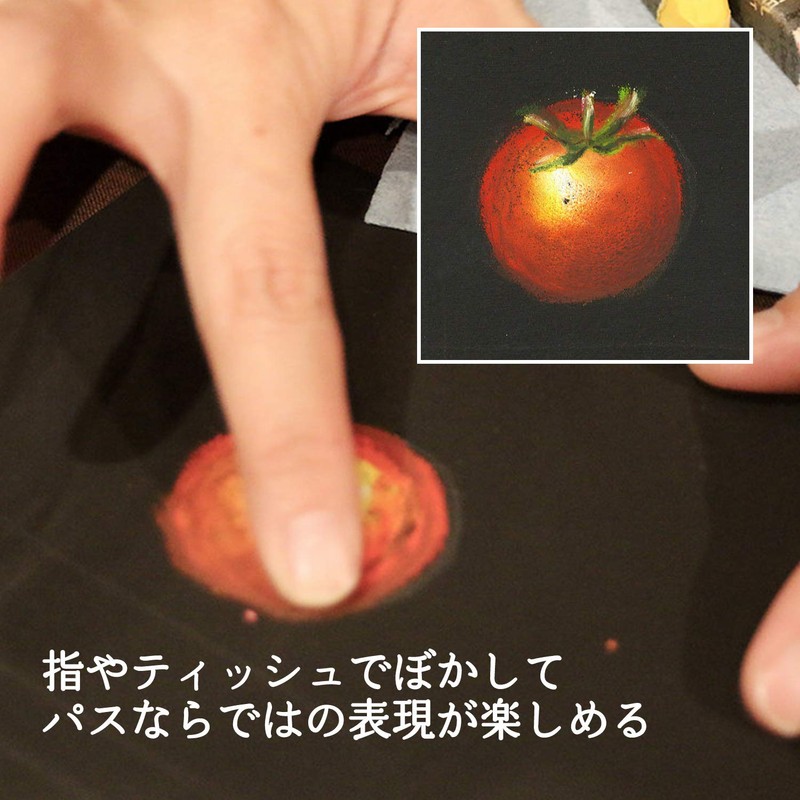 ぺんてる オイルパステル 専門家用パス PTA-25D 25色