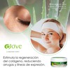 Ejove - Aloe Vera Cream Based on Snail Slime