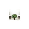 HomeStock 23In. Artificial Tuscan Temptations Fern Plant with Tapered Bronze