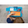 Chuckle & Roar - Sensory Bin - Tactile Learning for