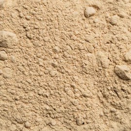 Shiitake Powder Organic 125 g - 100% Organic - Shii-Take - Lentinula Edodes - Vital Mushroom - Vegan - No Additives - Bottled and Certified in Germany Biotiva