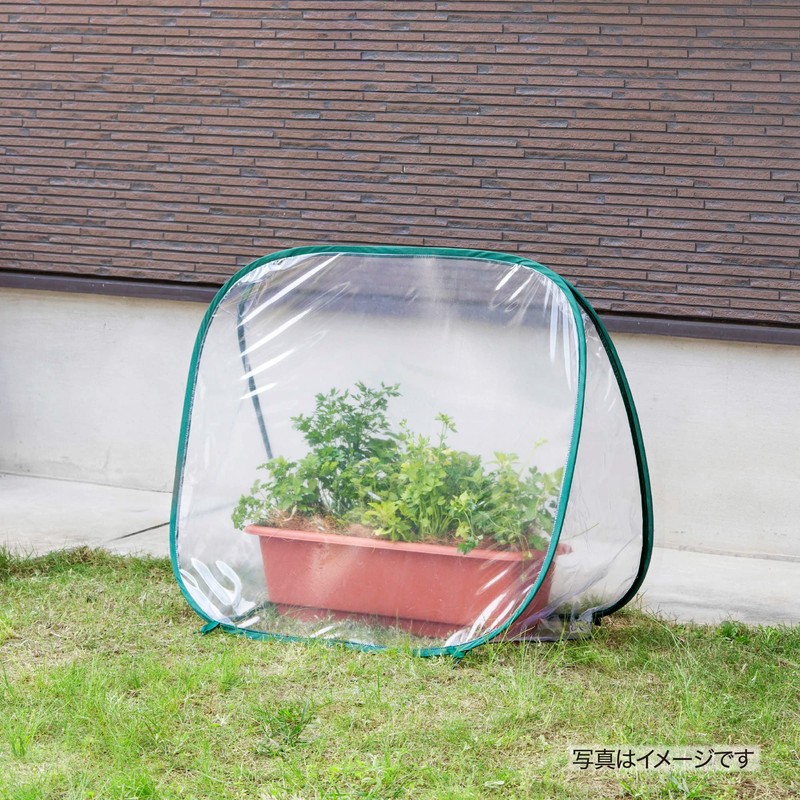 Takasho GRH-16 Greenhouse, Pop-up Type Greenhouse, Approx. Width 35.8 x