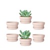 vensovo 3.7 Inch Pink Terracotta Shallow Succulent Pots - 6