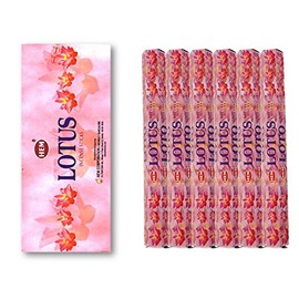 HEM(Hem)/Incense Stick/Precious Slotas/Case (Box of 20 x 6 Boxes)