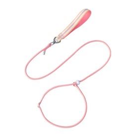 Teumessian Slip Lead Dog Leash, 5Ft x 1/5" Dog Training Leash for Small and Medium Dog,Pink.