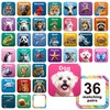 KIUKIUO 72 PCS Memory Matching Game, Real Animal Matching Cards