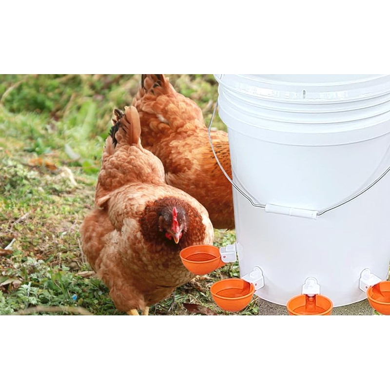 Large Automatic Chicken Waterer Cups DIY Poultry Chicken Waterer Kit