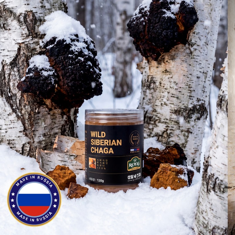 러시아 차가버섯 분말 100% 120g, 120g, 1개 100% Chaga Mushroom
