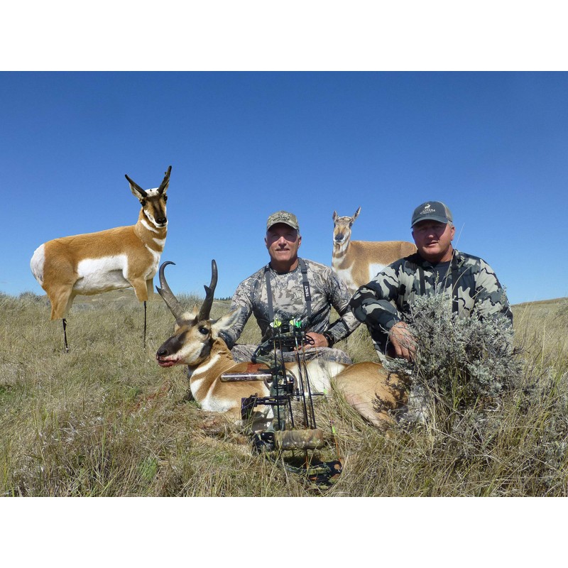 MONTANA DECOY Antelope Combo