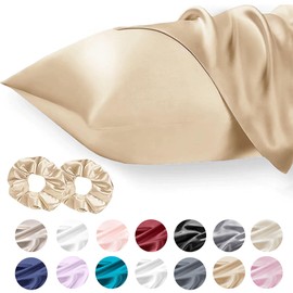 Seiwohl Satin Silk Pillowcases for Hair and Skin Champagne Pillow cases 2 Pack with Hair Silk Scrunchies for women, Cooling Pillow cases with Envelope Closure, Standard Size 50x75 cm