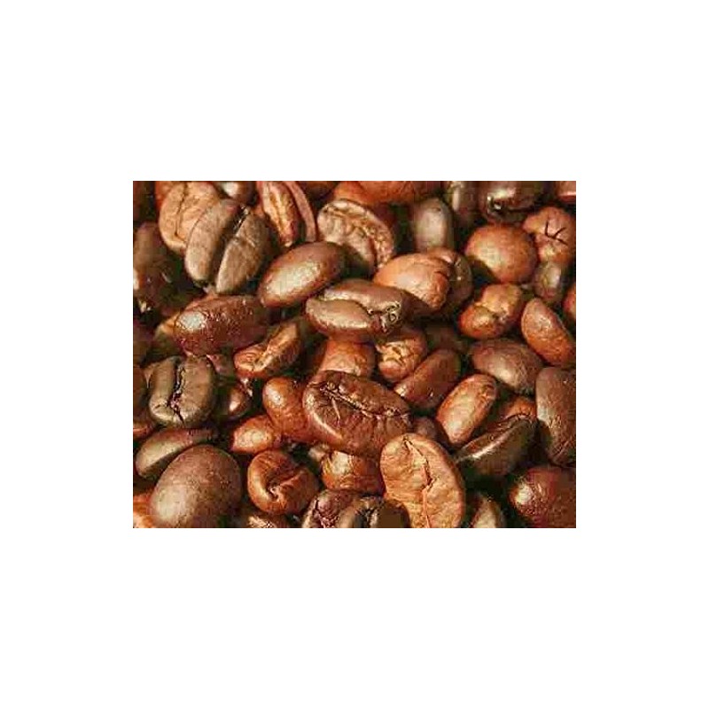 Celebes Kalossi Coffee Ground (Indonesia)